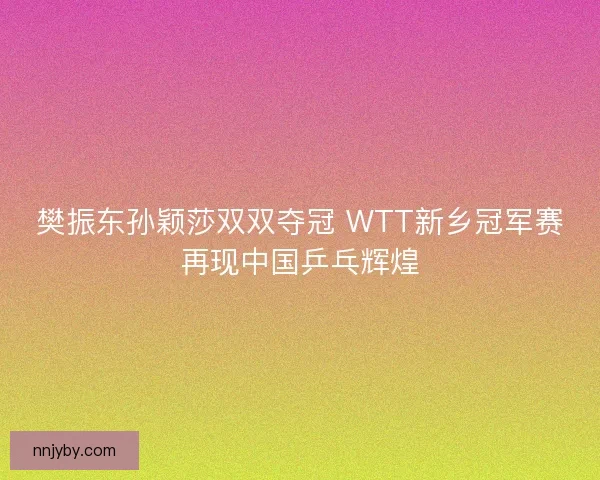樊振东孙颖莎双双夺冠 WTT新乡冠军赛再现中国乒乓辉煌